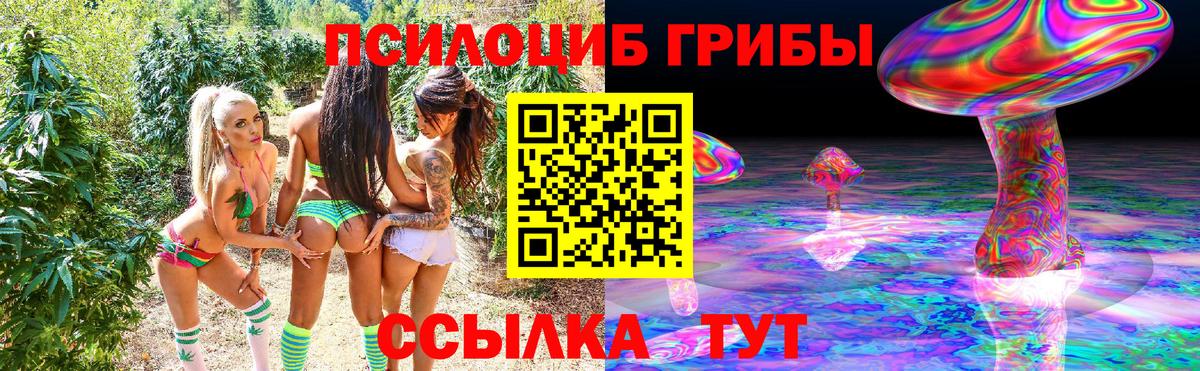 Псилоцибиновые грибы GOLDEN TEACHER  Вход с VPN  Кимры 