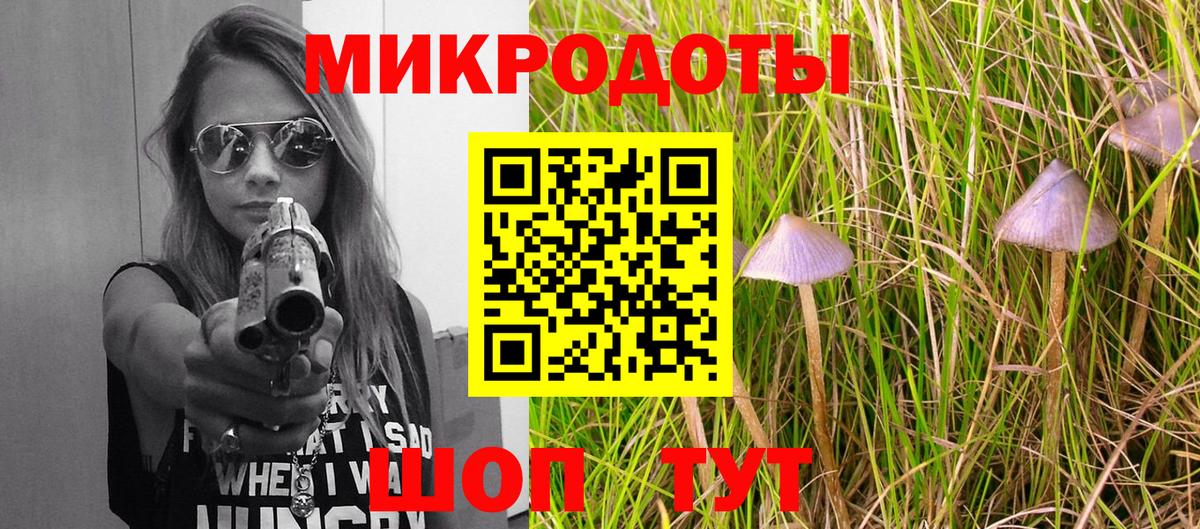 Галлюциногенные грибы Cubensis Кимры